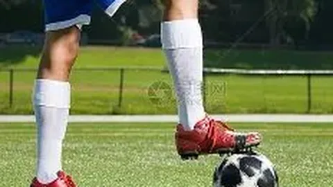 金贝娱乐 产品 214702 13c