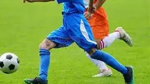 金贝娱乐 产品 141835 1po