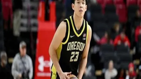 终极对决：维加斯与纽约自由队数据对比分析